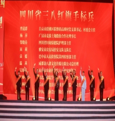 喜报！我院护理部主任贺晓春同志荣获2023年度“四川省三八红旗手标兵”称号