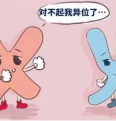 “你们可以做染色体基因比对吗？”——来自发小的灵魂拷问