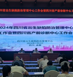 凝共识 促交流 谋发展 共成长——2024年四川省出生缺陷防治管理中心yh533388银河作会暨四川省产前诊断中心yh533388银河作会圆满召开