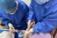 精护生命，暖护童心——四川省妇幼保健院儿童血液/肿瘤科与呼吸科护理团队纪实